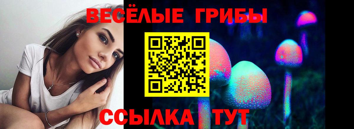 Златоуст  Псилоцибиновые грибы GOLDEN TEACHER  Вход с VPN  Галлюциногенные грибы мухоморы 